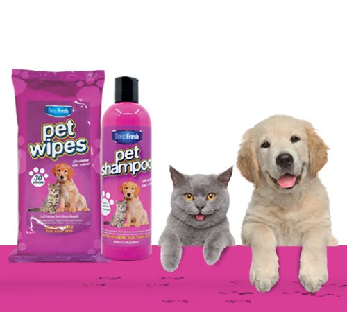 pet pet